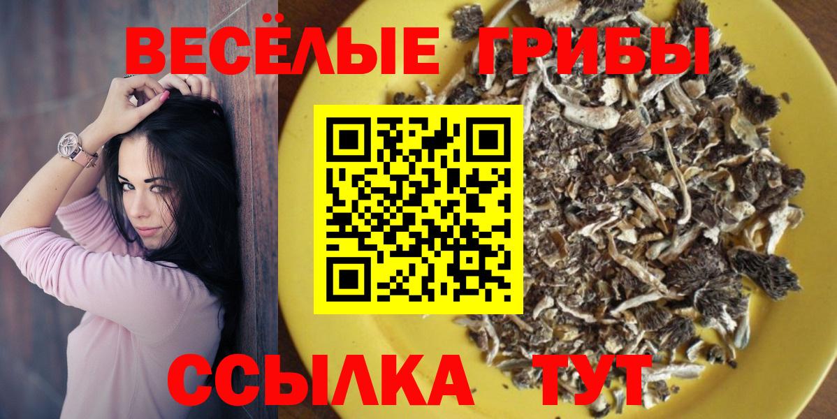 Галлюциногенные грибы Psilocybe  Вход с VPN  Сафоново 